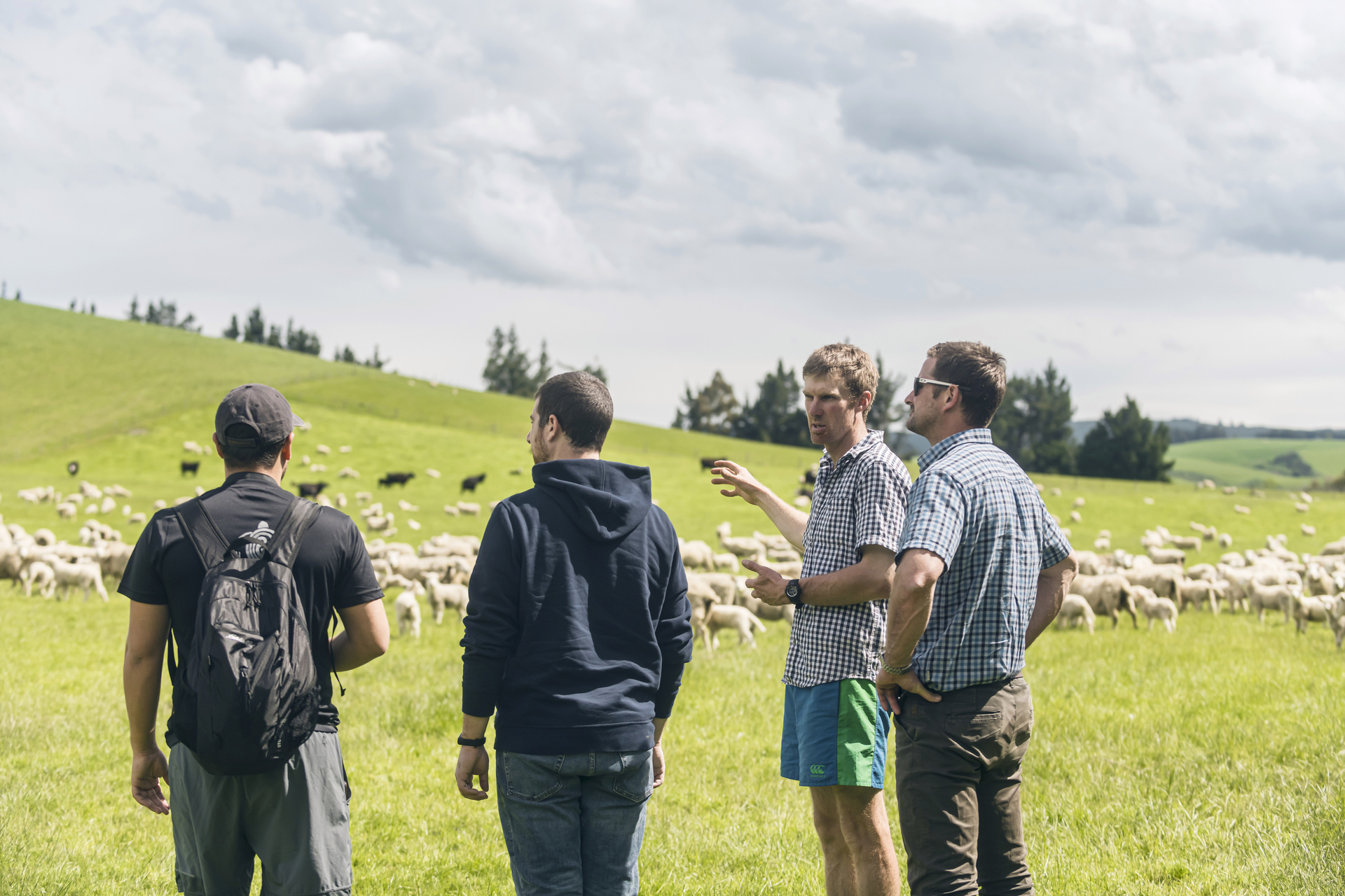 Our Partnership with Wools of New Zealand