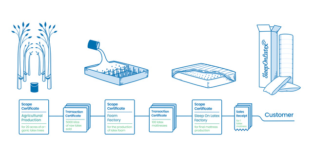 Infographic Tracing Organic Latex from Trees to Final Product